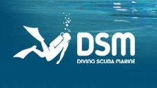 dsm_logo